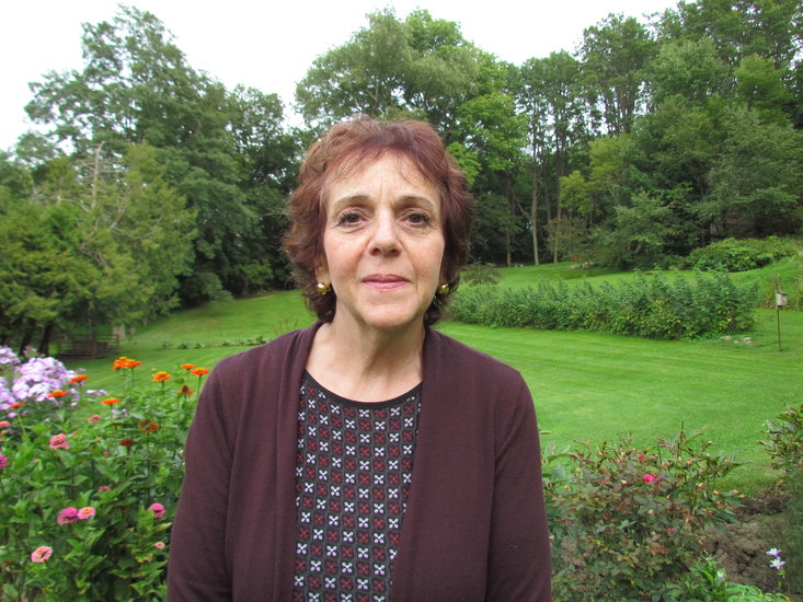 Berne election 2017 Anita Clayton for town clerk The Altamont Enterprise